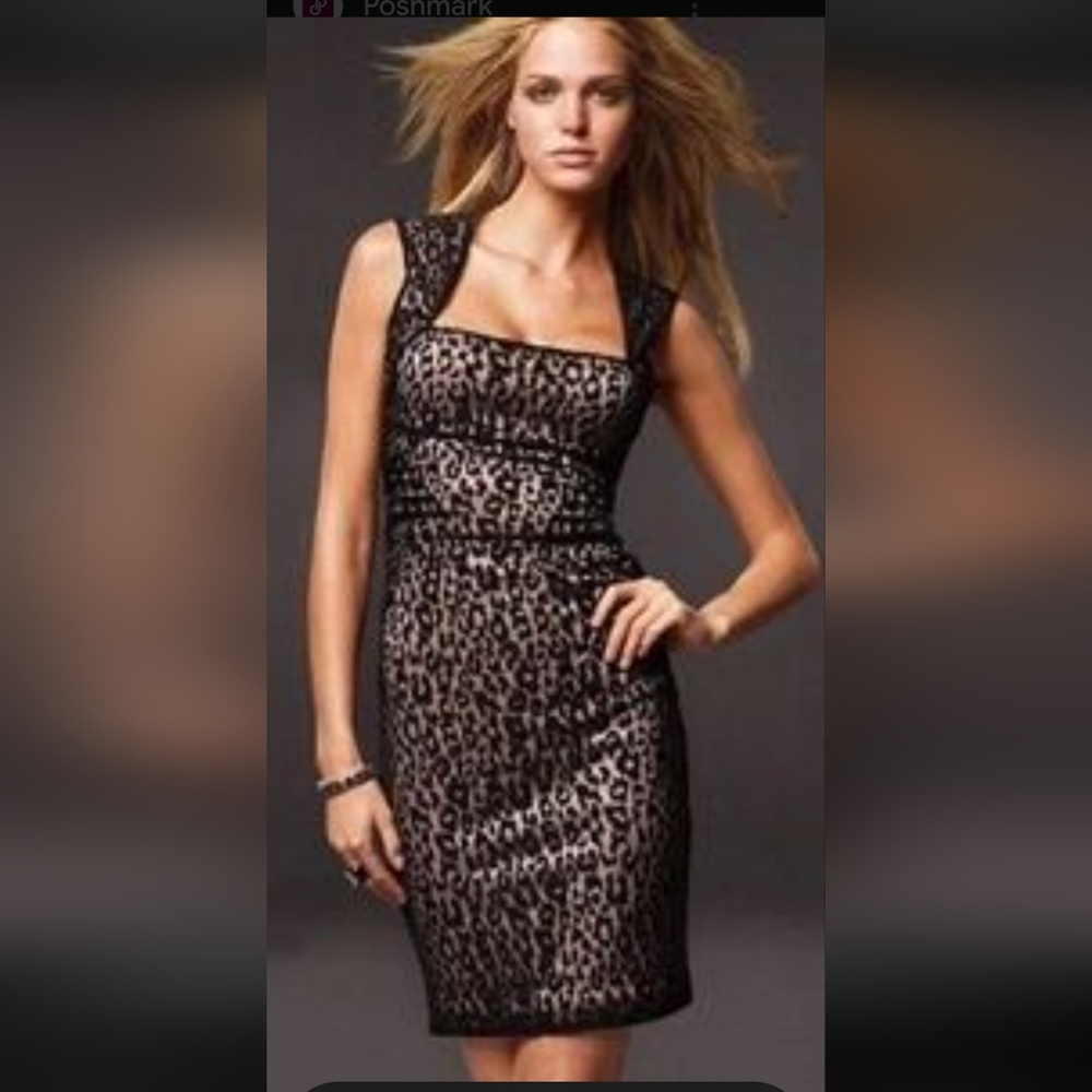 Elegant Black Leopard Print Dress MODA International XS